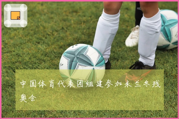 中国体育代表团组建参加米兰冬残奥会
