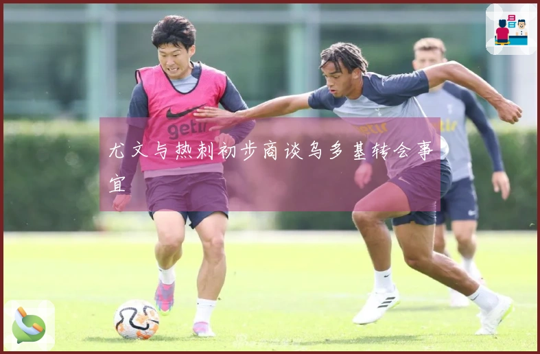 尤文与热刺初步商谈乌多基转会事宜