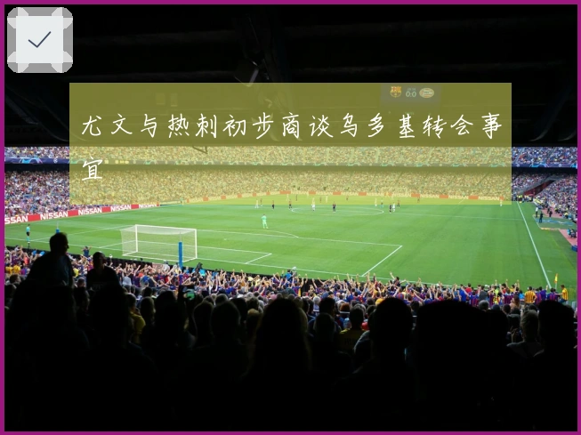 尤文与热刺初步商谈乌多基转会事宜